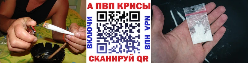 Альфа ПВП СК  Кинешма 