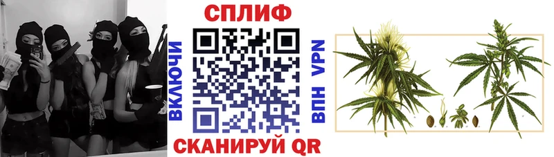 Конопля AK-47  Кинешма 